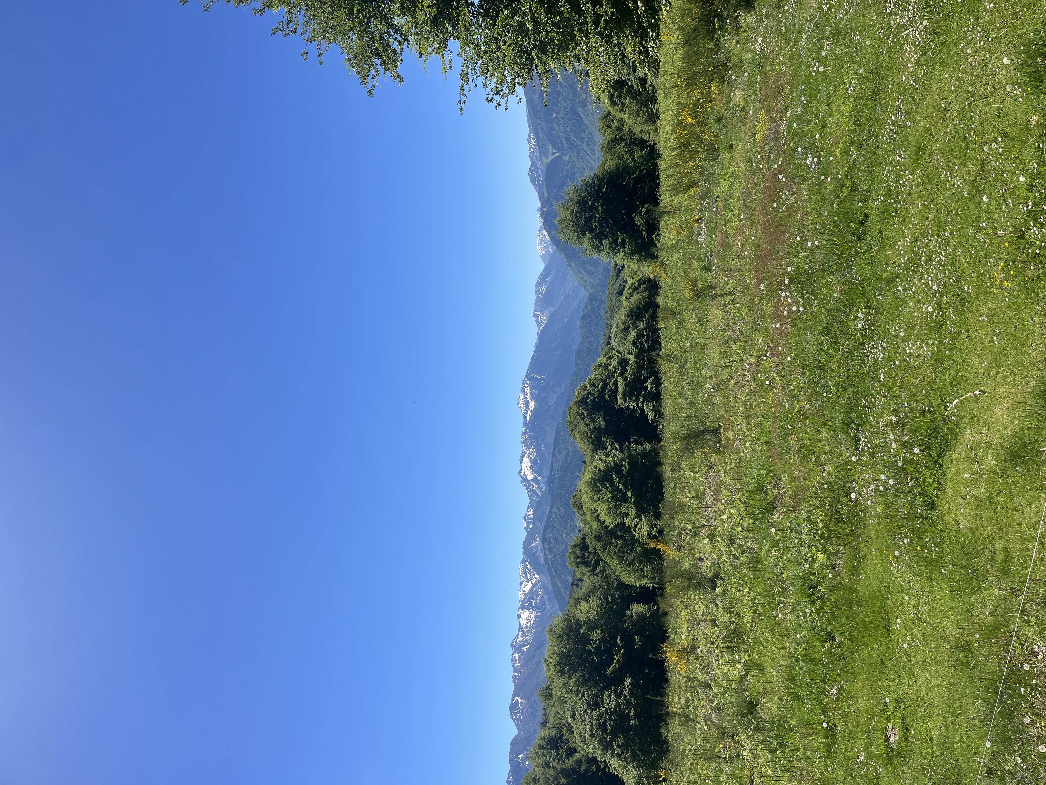 Paysage du domaine du Chioula