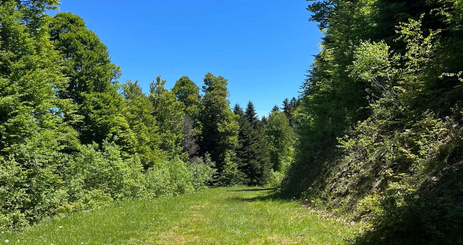 Paysage de montagne au lever du soleil